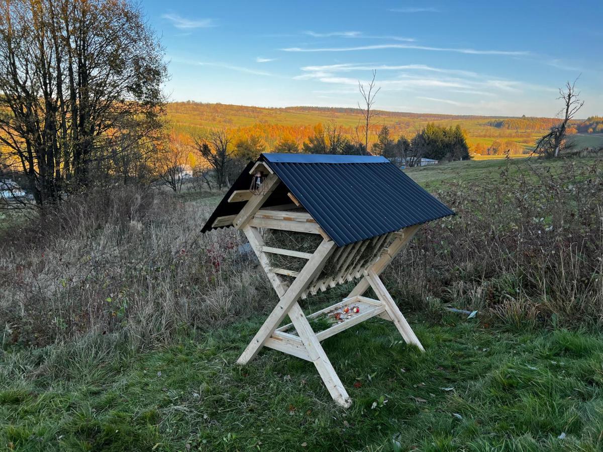 Luxus Ferienhaus Erzgebirge In Alleinlage Altenberg  Zewnętrze zdjęcie